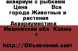 аквариум с рыбками › Цена ­ 15 000 - Все города Животные и растения » Аквариумистика   . Ивановская обл.,Кохма г.